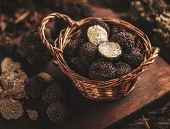 Fresh truffles in a basket - 350×265