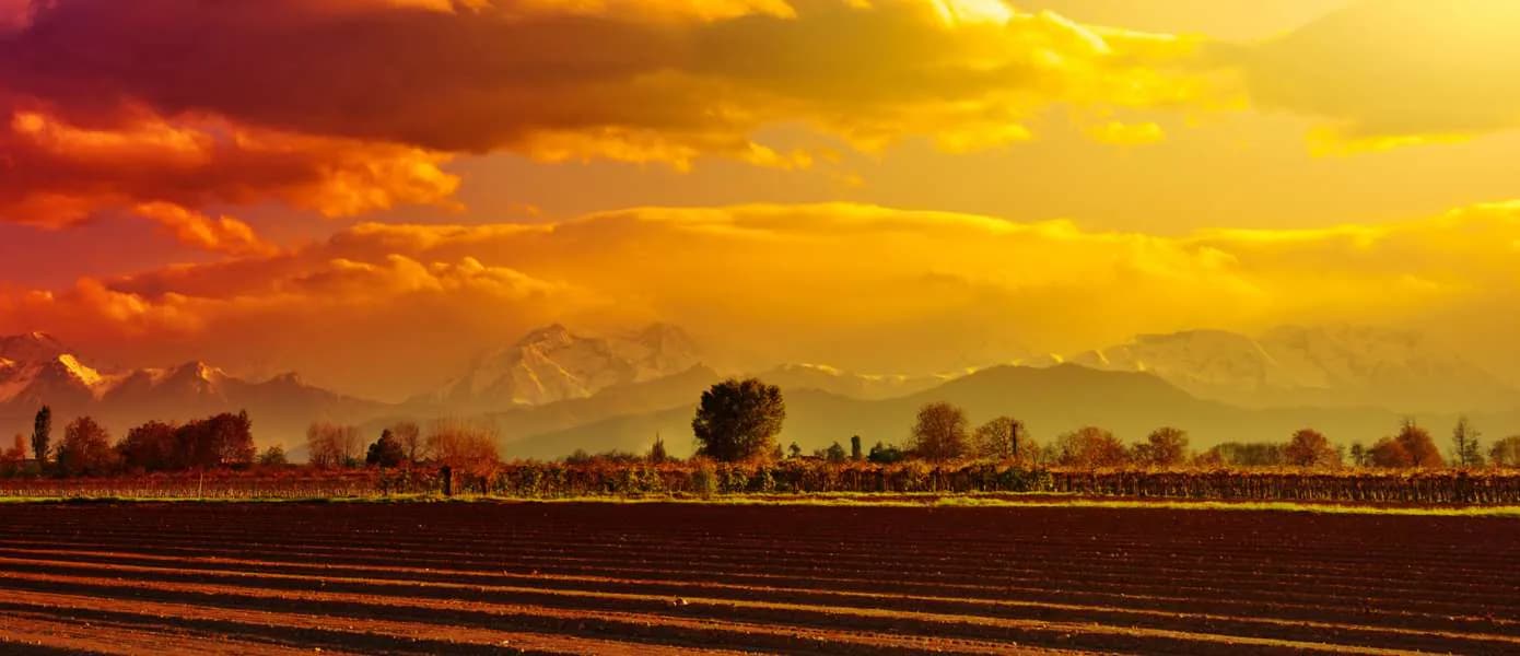 Best Wine Tours in Piedmont Italy Feature Image - 1390x600