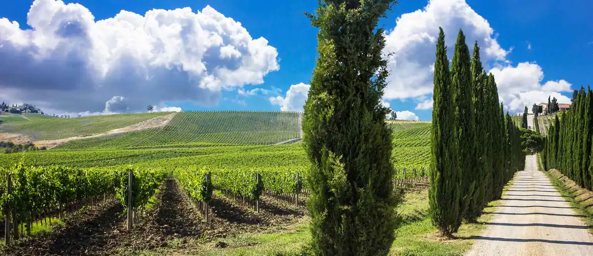 Best Tuscany Cooking Vacations Feature Image - 1390x600