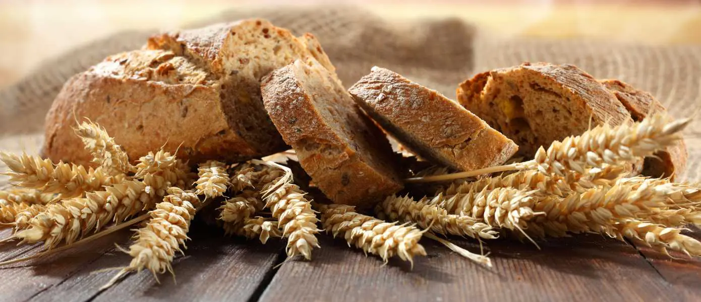 Best Bread making Classes in NYC