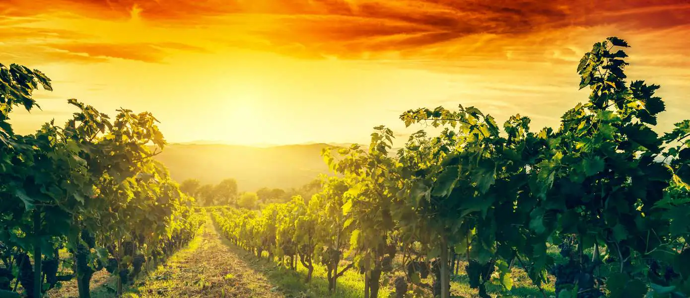 Best Italian cooking classes in Tuscany Villas Feature Image - 1390x600