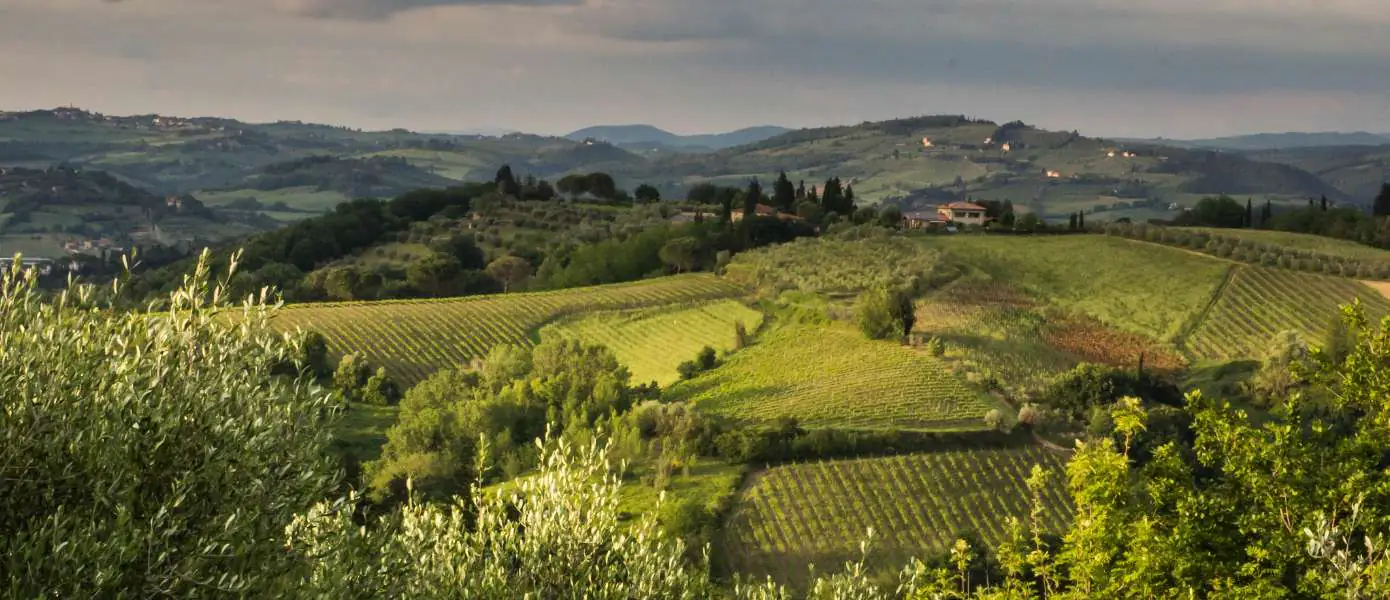 Best Italian cooking classes in Tuscany with Accommodation Feature Image - 1390x600