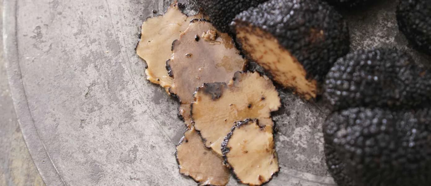 Best Truffle Hunting cooking classes in Tuscany Feature Image - 1390x600