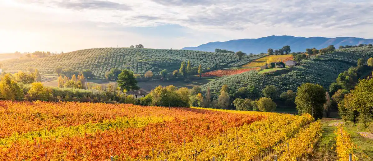 Best Italian cooking classes in Umbria Feature Image - 1390x600