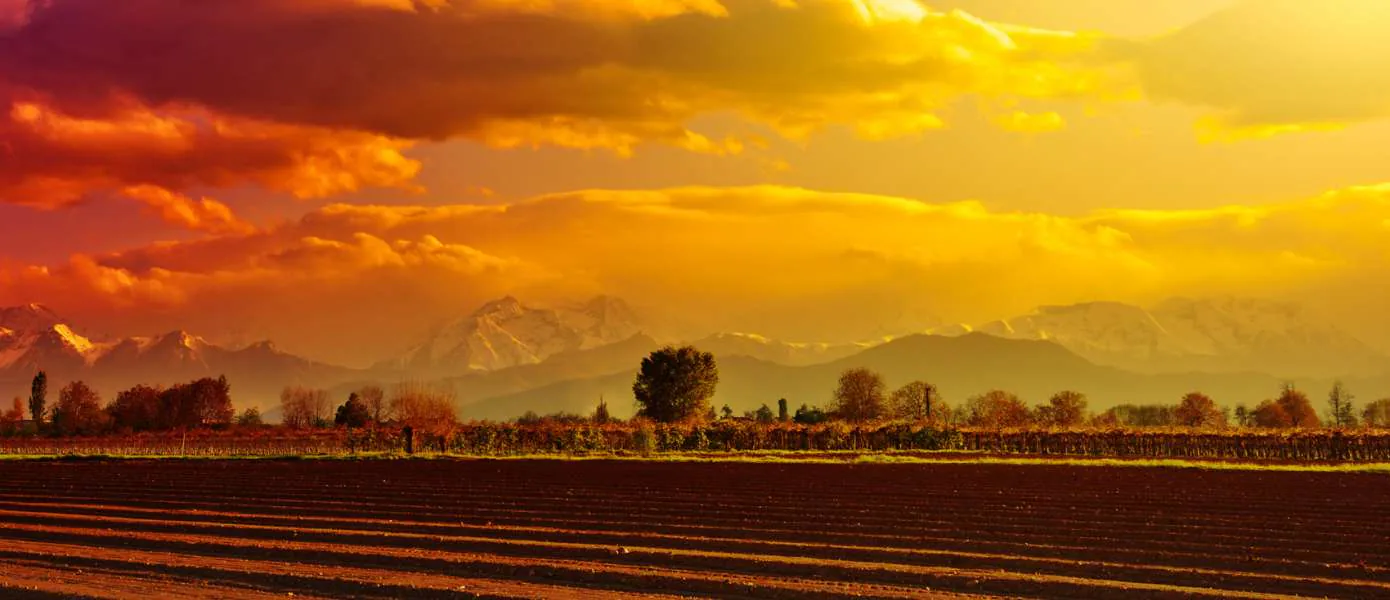 Best Wine Tours in Piedmont Italy Feature Image - 1390x600